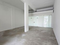 Serangoon North Avenue 1 (D19), Shop House #560113581